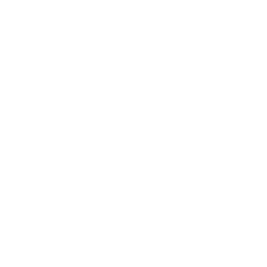 UAA Logo Icon